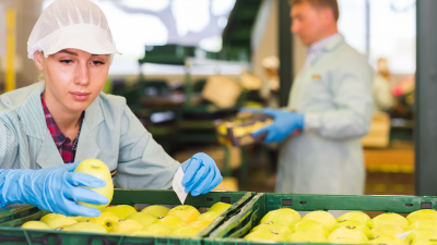 Tax Tips For Food Manufacturer